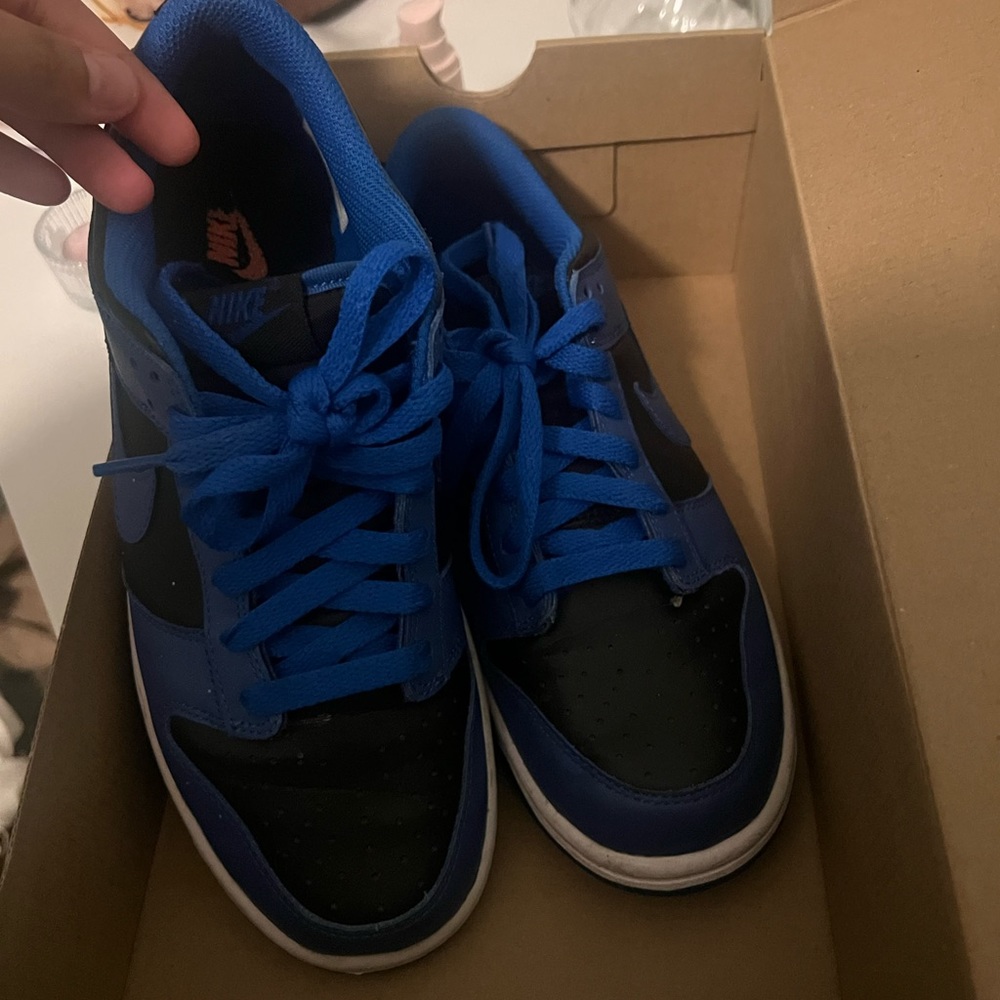 Blue dunks Nike